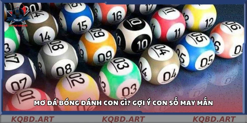 Gợi ý số đề khi nằm mơ đá bóng đánh con gì?