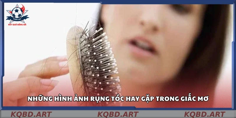 Các kiểu rụng tóc thường xuất hiện trong mơ